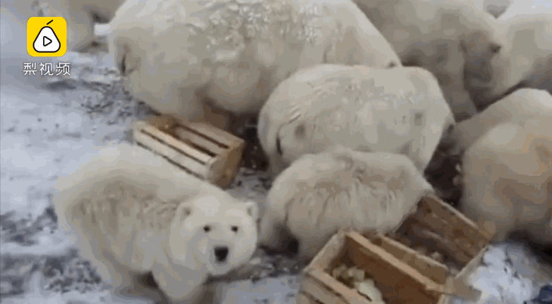 哔哩哔哩隐藏内容怎么找？特殊标签与搜索技巧是关键