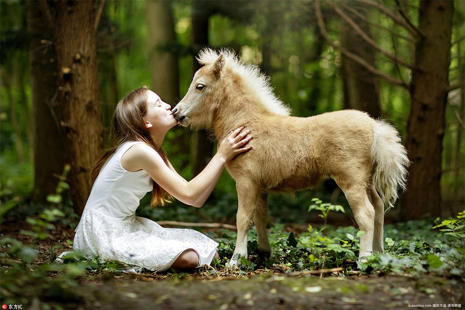 花城谢怜毛笔开车