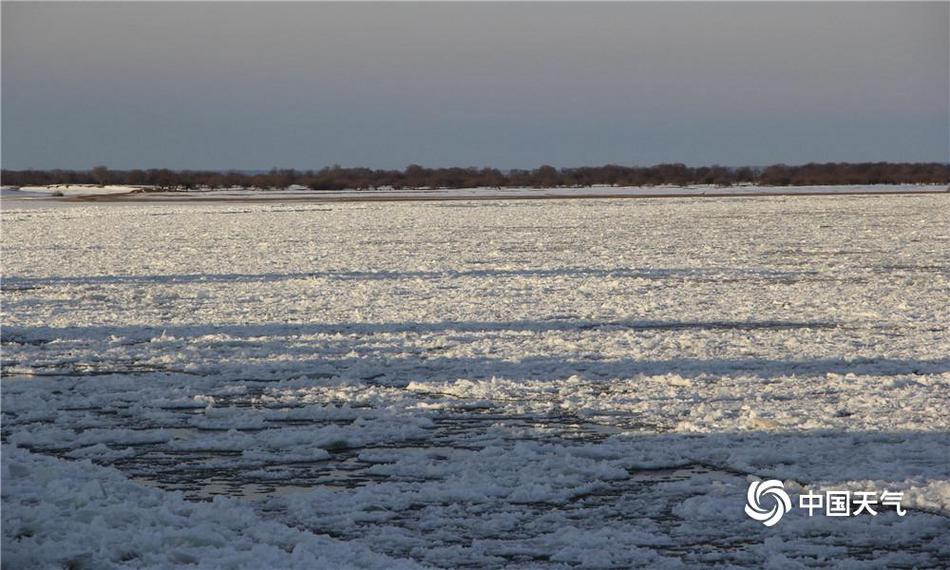 《海贼王第890集》在线观看