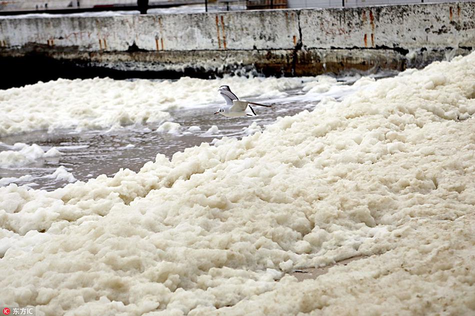 弱点漫画在线观看