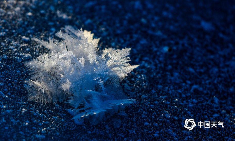 《海贼王第890集》在线观看