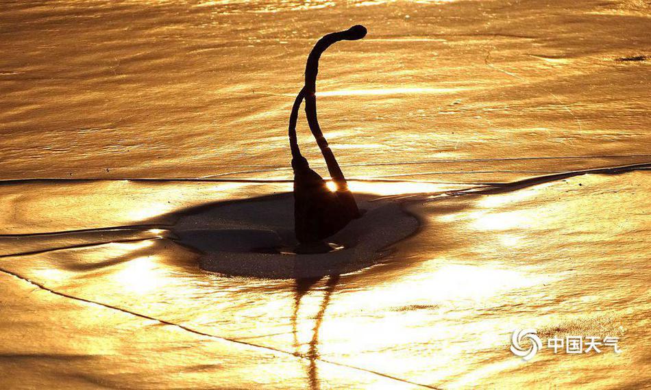 笔趣阁手机版：优质小说阅读软件，类型全且可自由查找