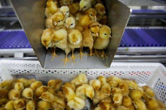 校花的贴身高手电视剧搜狗