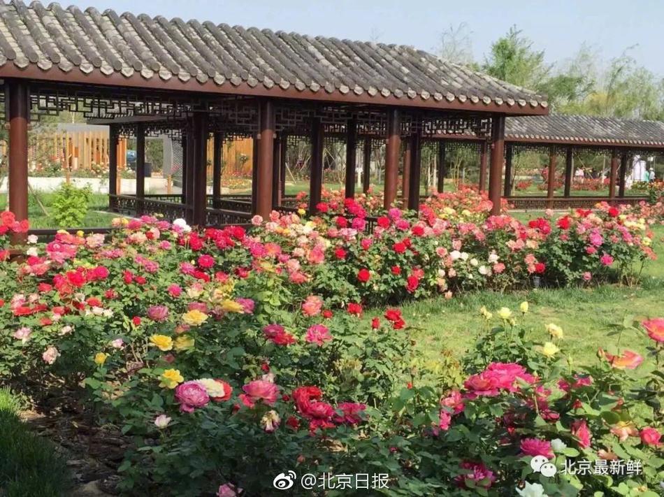 同人：约会大作战datealive ex章节（3） ast存亡战 第一节