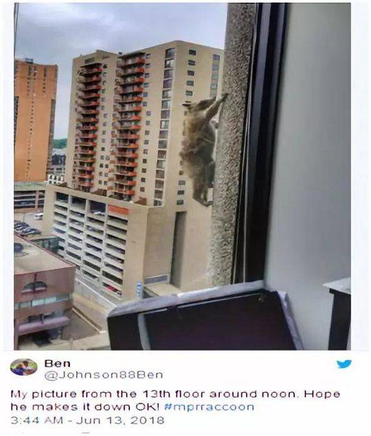 蓝翅漫画全集免费阅读258