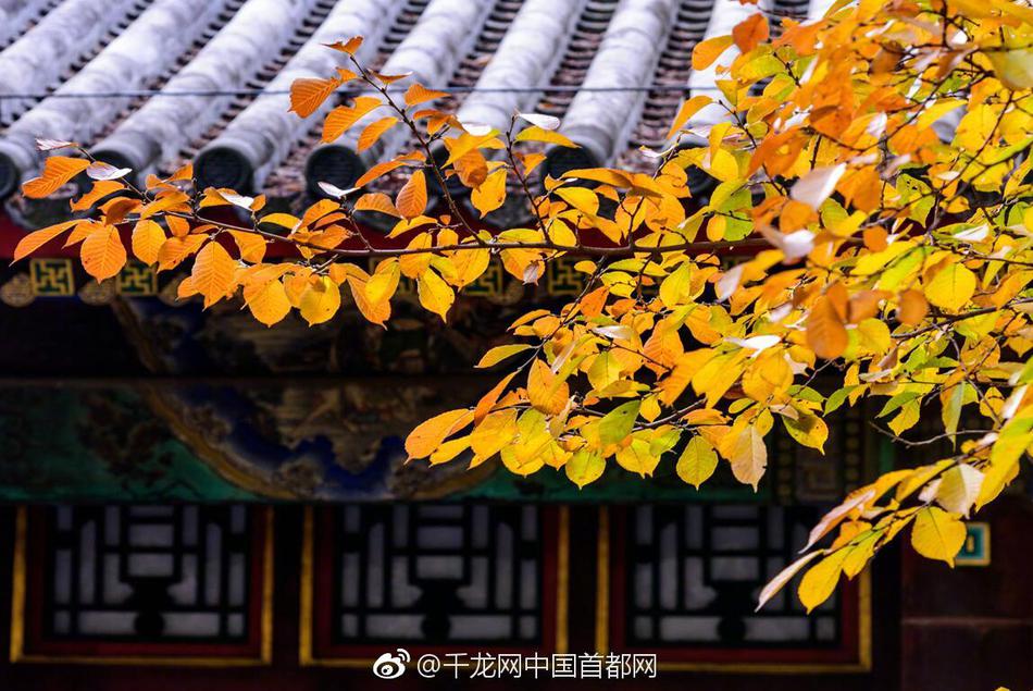 影视作品中万人迷反派为何更吸睛？如何塑造有魅力反派？