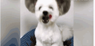 datealive 地铁逃生回归！biubiu免费加速，畅玩海量海内外精品手游