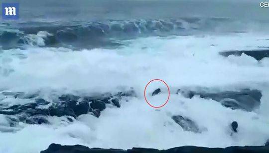 阅站漫画：资源丰富更新快，免费福利多，阅读体验超棒