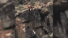 看脸时代辱华事件