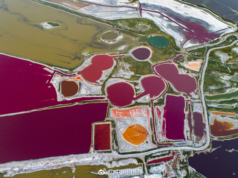 师父又掉掉线了txt下载