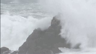 阅站漫画app最新版：免费搜索全网漫画，畅享多种便捷阅读体验