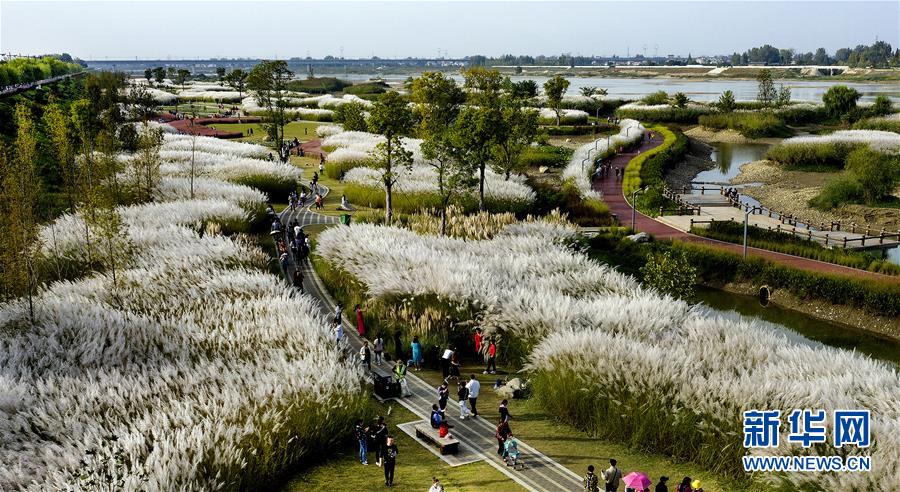 网络文学爱好者必读！新笔趣阁现状及使用建议大揭秘？