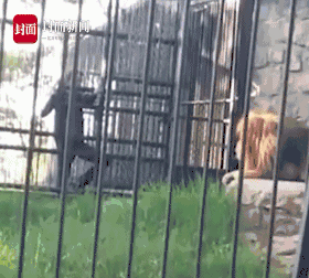 好看漫画凯发真人官网免费入口