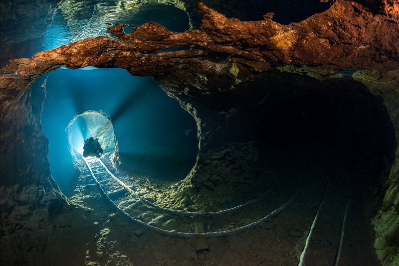 《海贼王第890集》在线观看