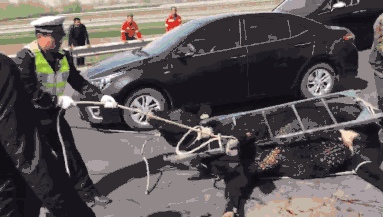 重生八万年漫画全集免费阅读