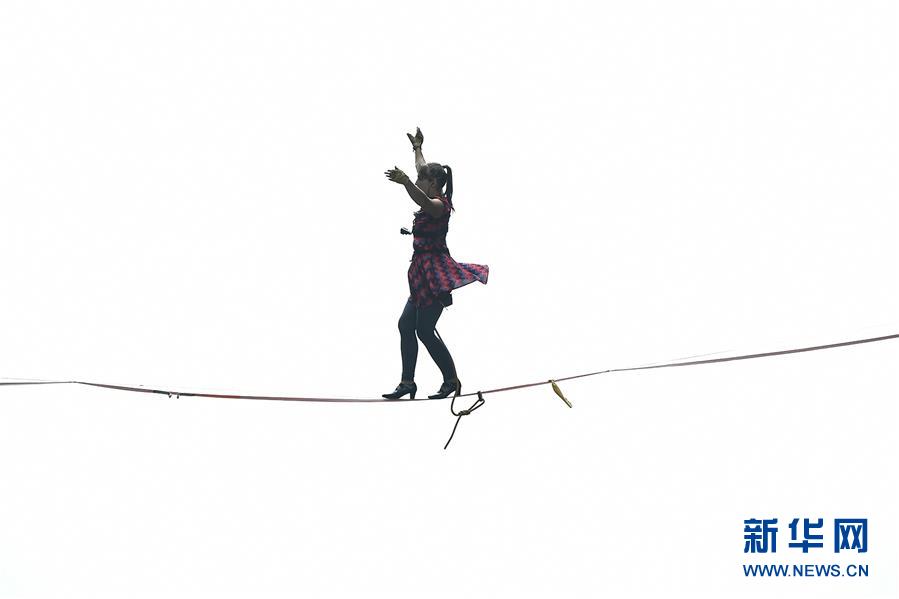 免费在线可阅读漫画成首选，却面临凯发k8国际首页登录的版权等难题待剖析？