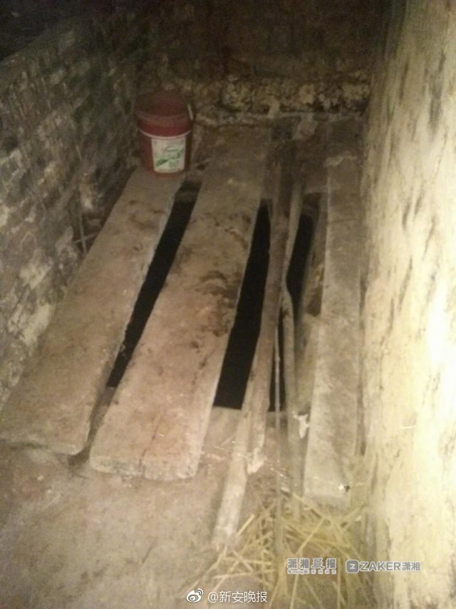 缘之空借兄妹情纠葛引发思索，为何对兄妹恋情描绘引争议？