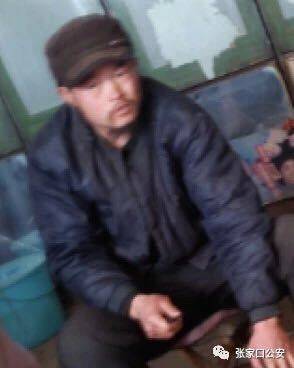 妹子与科学漫画全集下拉式