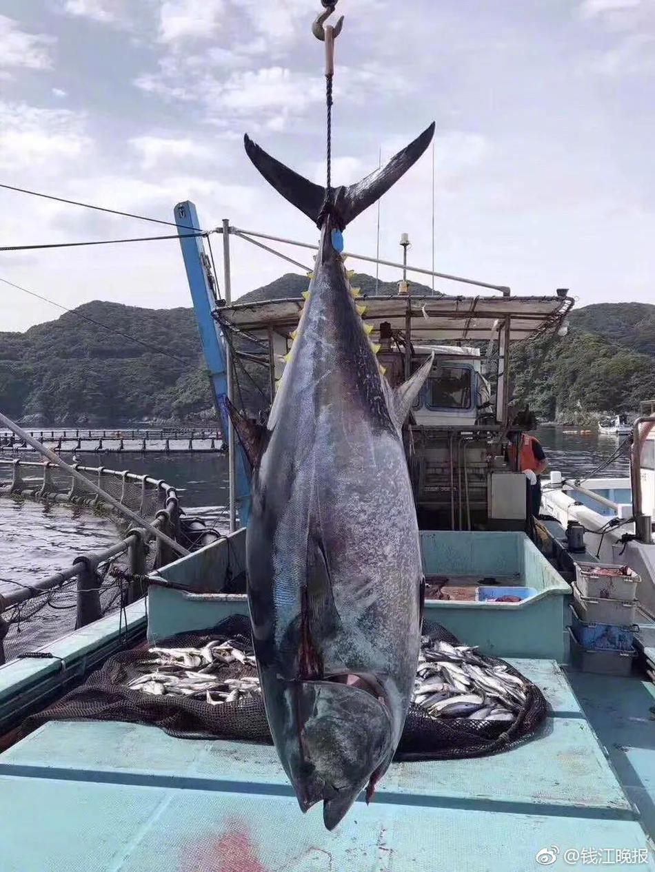 绝世唐门动漫全集免费