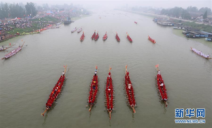 修真高手大学生活录