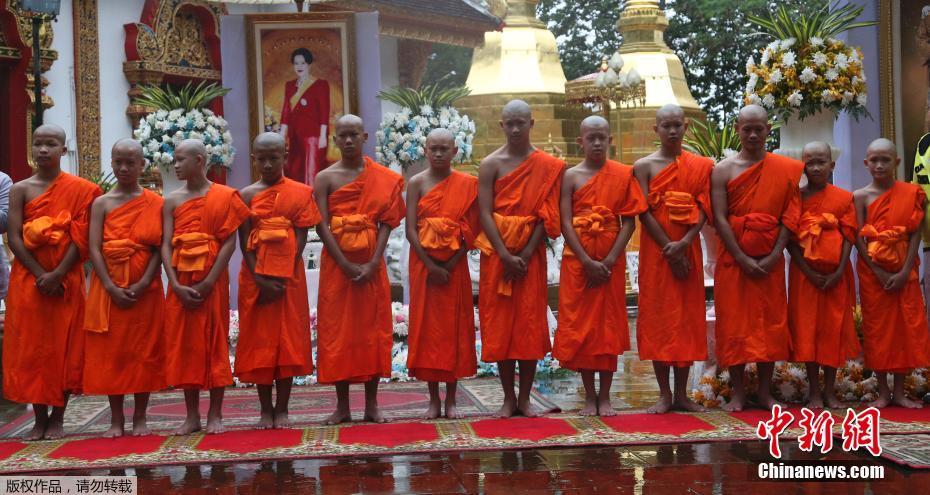 《海贼王第890集》在线观看