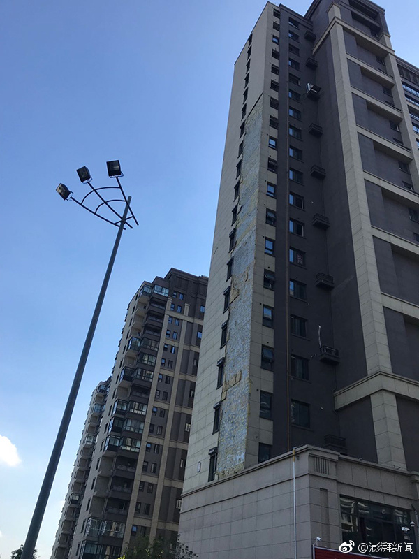 狗动漫图片简单可爱