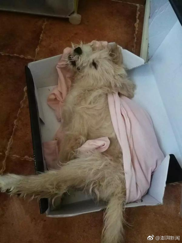 韩漫《run away》