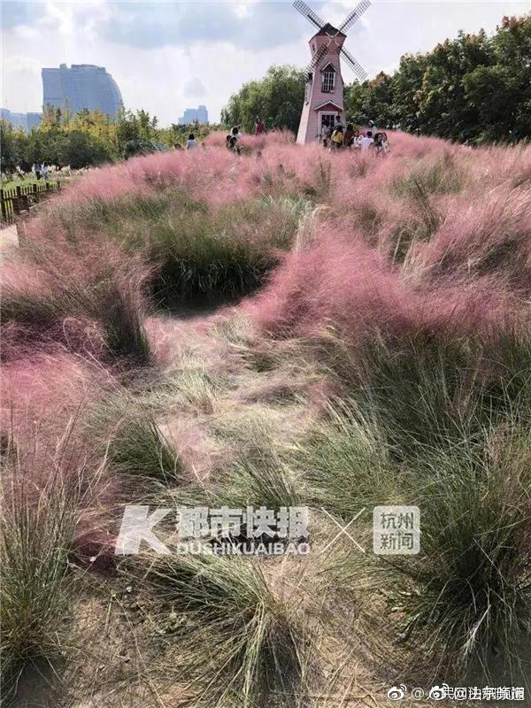 影视作品中万人迷反派为何更吸睛？如何塑造有魅力反派？