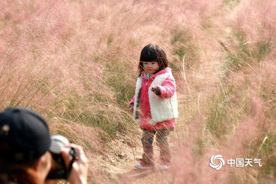 免费在线可阅读漫画成首选，却面临凯发k8国际首页登录的版权等难题待剖析？