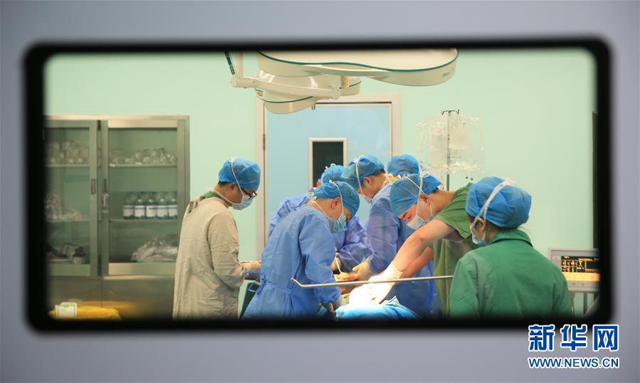 哔哩哔哩隐藏内容怎么找？特殊标签与搜索技巧是关键