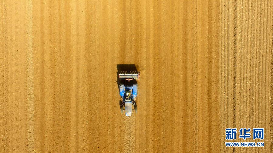 备受关注的死神230模型，设计与工艺究竟有多出色？