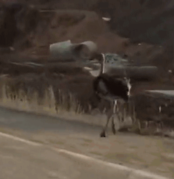 网络文学爱好者必读！新笔趣阁现状及使用建议大揭秘？