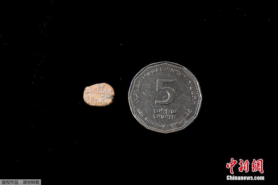 阅站漫画app最新版：免费搜索全网漫画，畅享多种便捷阅读体验