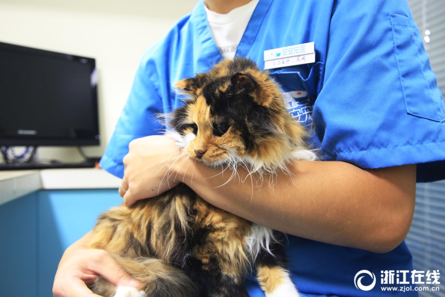 影视作品中万人迷反派为何更吸睛？如何塑造有魅力反派？