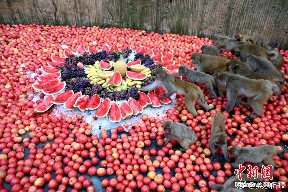 缘之空借兄妹情纠葛引发思索，为何对兄妹恋情描绘引争议？