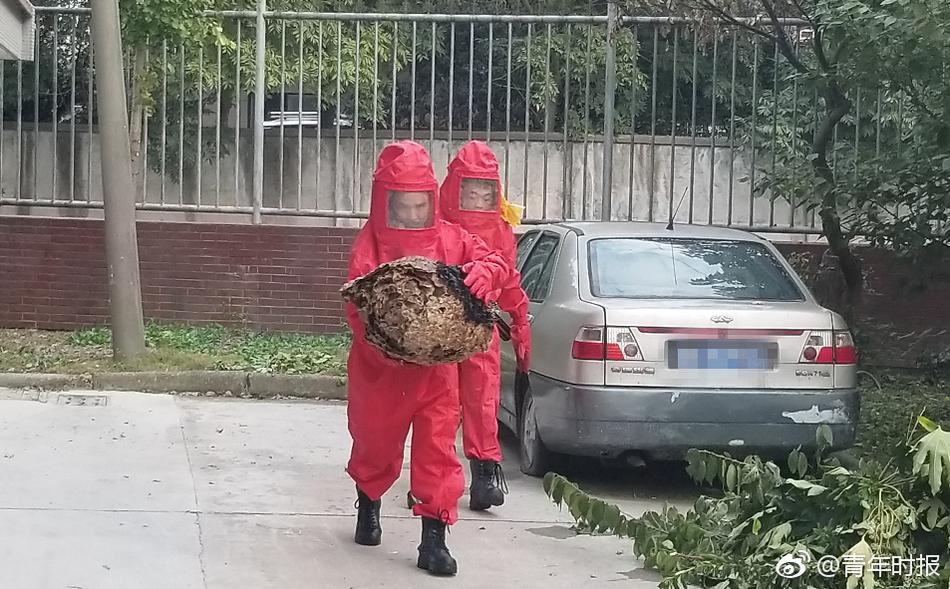 阅站漫画app最新版:免费搜索全网漫画,畅享多种便捷阅读体验