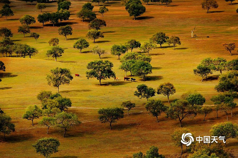 弱点漫画在线观看