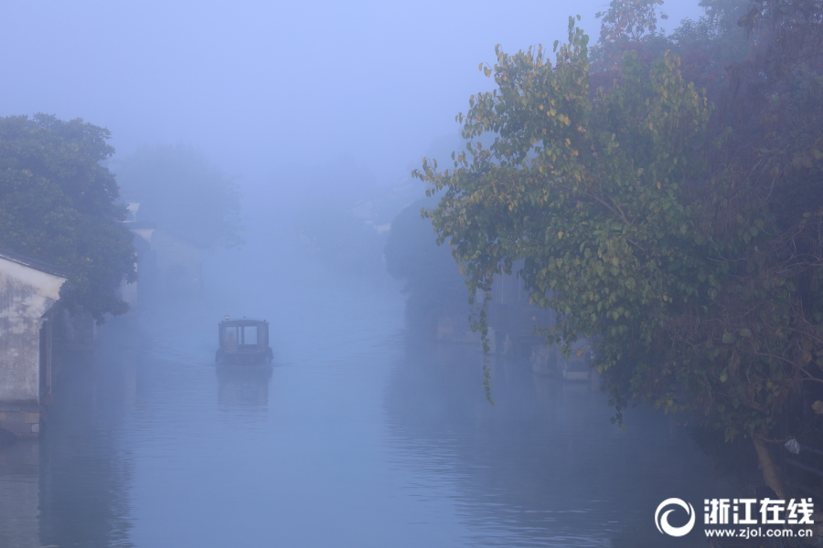 裙子下的野兽一样的动画