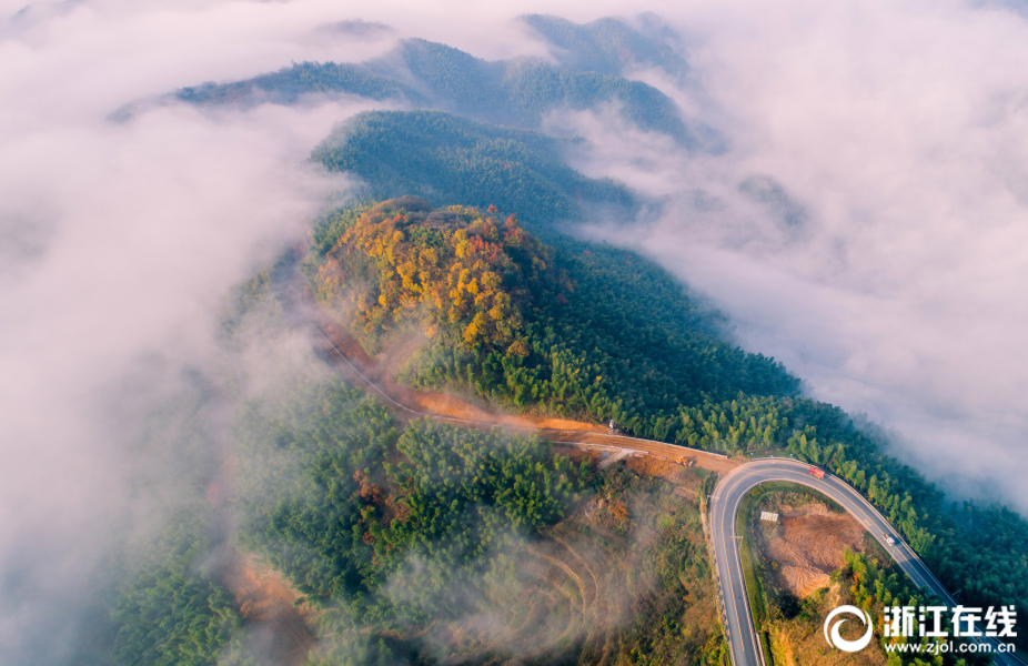最强枭雄系统扑飞漫画免费