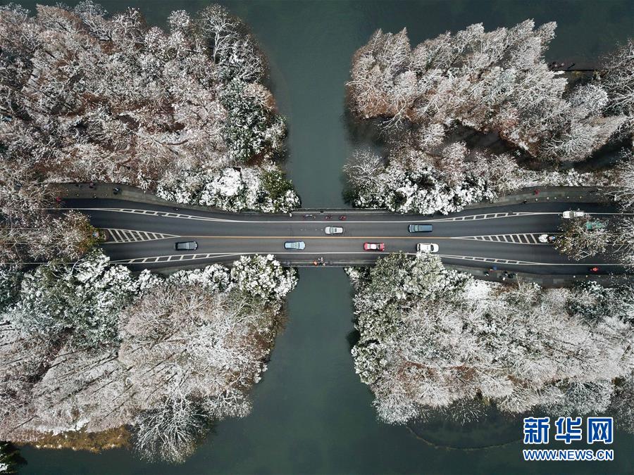 免费漫画阅站官方正版：无广告弹窗，全网漫画免费看