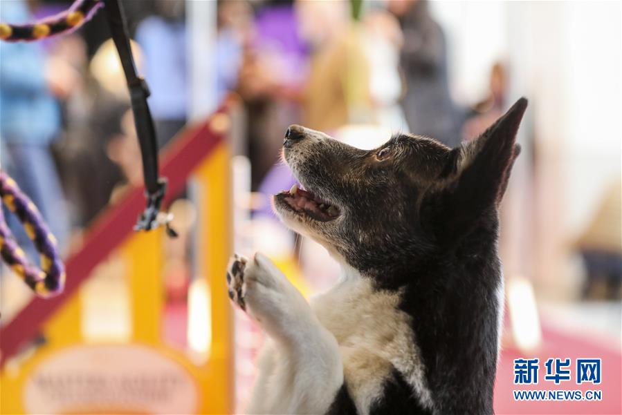 弱点漫画在线观看