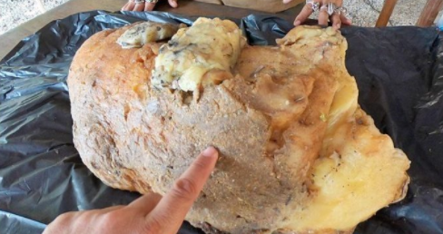 萌师在上漫画免费观看27