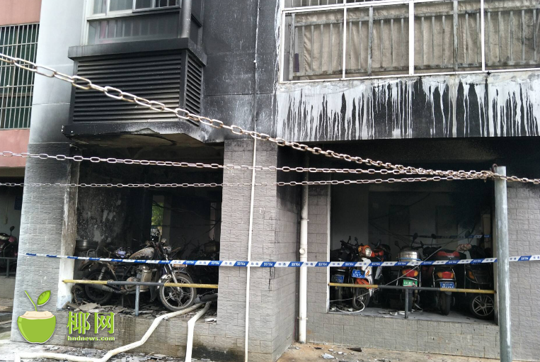 风起苍岚土豆漫画网