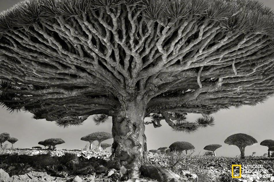 斗罗大陆终极斗罗14目录