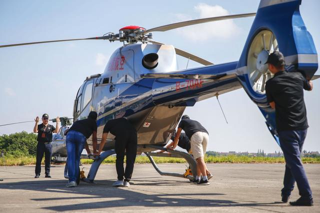 《海贼王第890集》在线观看