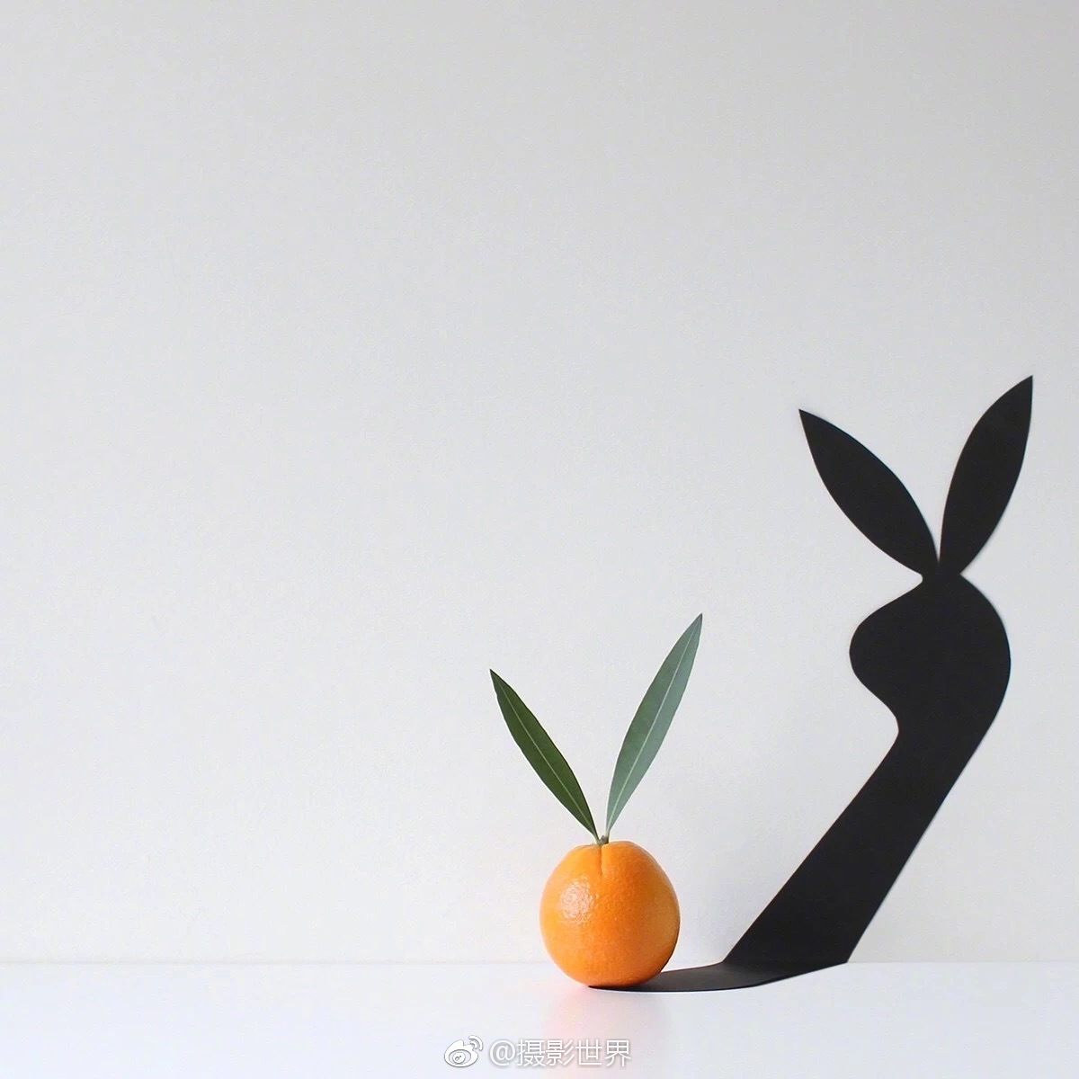 阅站漫画：资源丰富更新快，免费福利多，阅读体验超棒