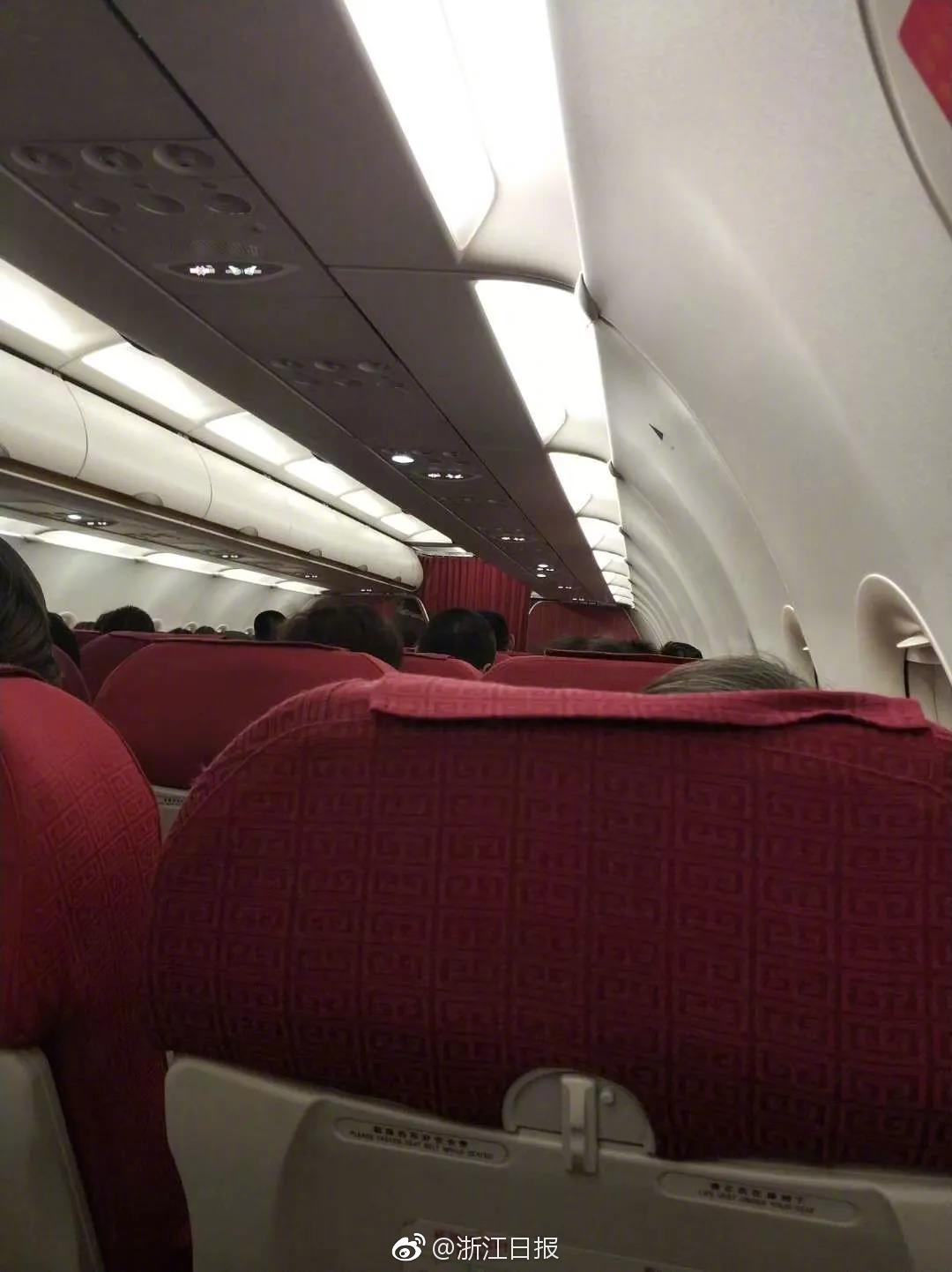 弱点漫画在线观看