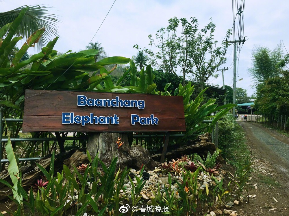 免费漫画阅站app下载安装无广告，畅享丰富漫画资源