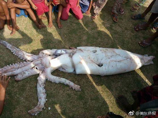 弱点漫画在线观看