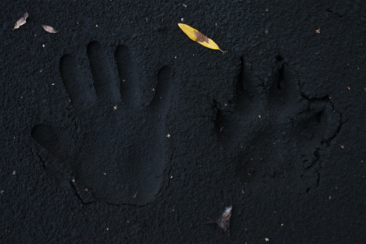 异世界搞笑冒险番为何吸引人？独特设定与反差角色是关键